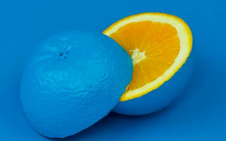 Membangun Brand Halal: Kunci Sukses di Pasar Ekonomi Indonesia