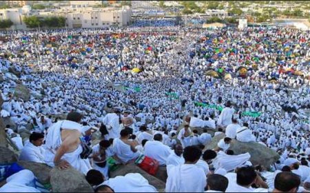 Panduan Wukuf di Arafah: Persiapan, Tata Cara, dan Tips untuk Jemaah Haji