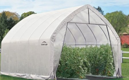 Manfaat Teknologi Greenhouse dalam Budidaya Tanaman Sayuran