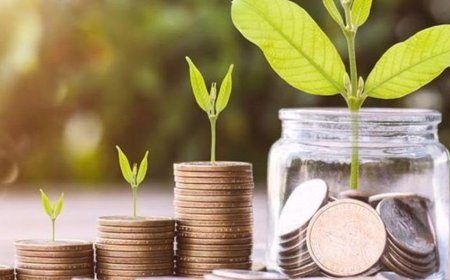 Pengertian dan Prinsip Investasi Halal, Cek Penjelasannya Berikut