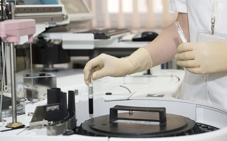 Alasan Pencabutan Sertifikat Halal