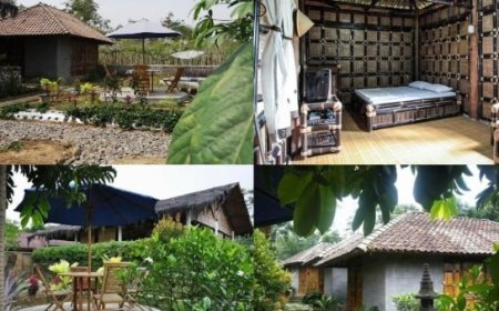 Penginapan Dieng Murah Mulai Rp100 Ribu