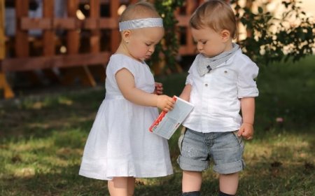 Perbedaan Adik dan Adek Menurut Kamus Besar Bahasa Indonesia (KBBI)