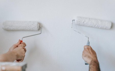 5 Warna Cat Rumah Minimalis Selain Putih dan Beige