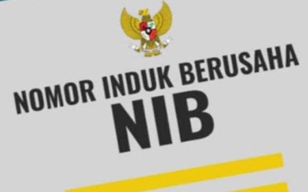 Informasi NIB: Pengertian, Manfaat, Syarat, dan Cara Membuat