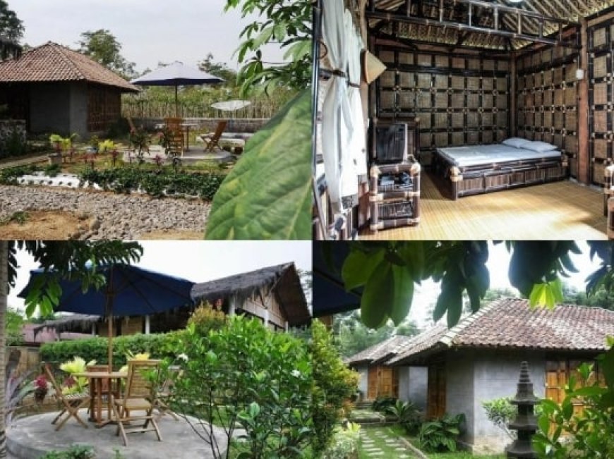 Penginapan Dieng Murah Mulai Rp100 Ribu