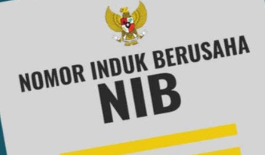 Informasi NIB: Pengertian, Manfaat, Syarat, dan Cara Membuat