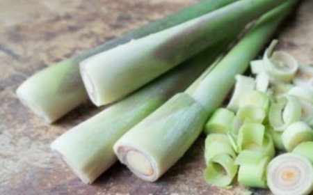 Manfaat Luar Biasa Tanaman Serai dan Cara Mengolahnya Secara Alami