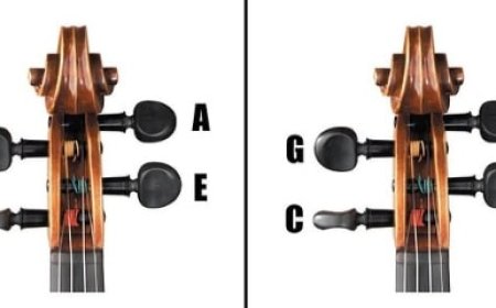 Perbedaan Viola & Violin