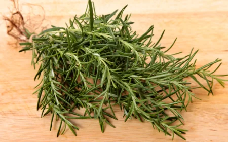 Keajaiban Merebus Rosemary