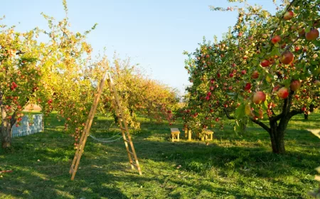 Pohon Buah di Kebunmu yang Jadi Magnet Hama