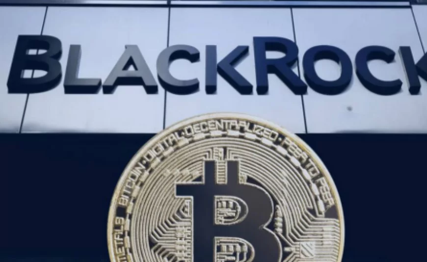 BlackRock Beli Bitcoin Rp2,6 Triliun, Sinyal Serius Masuk Kripto?