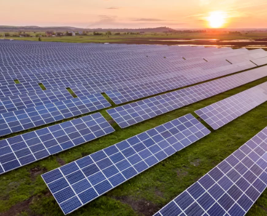 Apa Manfaat Energi Surya Bagi Makhluk Hidup?