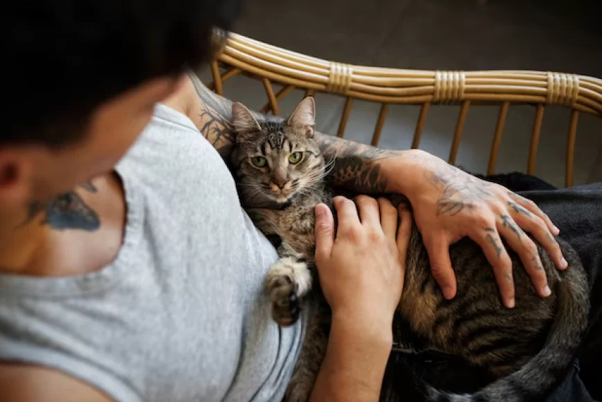 Mengapa Pecinta Kucing Punya Karakter Unik? Ini Kata Psikologi