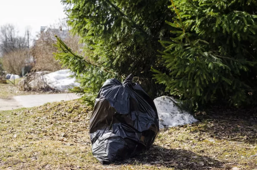 Kalau Kamu Lihat Kantong Hitam di Pohon, Sebaiknya Jangan Dekat-dekat!